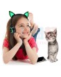 New Shine cat's headphone with battery can't chargeable 